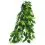 Ficus silk medium - roślina do terrarium, 55cm
