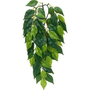 Ficus silk small - roślina do terrarium, 45cm