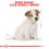 ROYAL CANIN JACK RUSSELL TERRIER JUNIOR - 1,5 kg