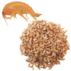 Suszony gammarus 1000ml