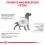 Royal Canin VHN Dog Gastrointestinal Moderate Calorie 2 kg