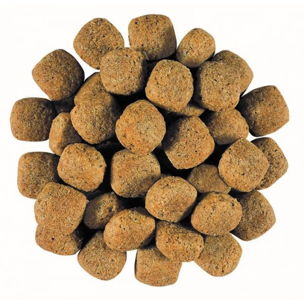 Gastro intestinal low fat 12kg sale