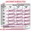 Royal Canin VHN Dog Renal 12 x 100 g