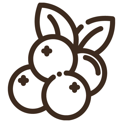 owoce.png