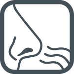 cista-izba_(2)_1.png