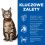 Hill's Science Plan Feline Adult Lamb & Rice 10 kg + żwirek GRATIS