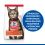 Hill's Science Plan Feline Adult Lamb & Rice 10 kg + żwirek GRATIS
