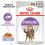 Royal Canin STERILISED in Jelly w galarecie 24 x 85 g