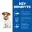 Hill's Science Plan Canine Puppy Small & Mini Chicken 3kg
