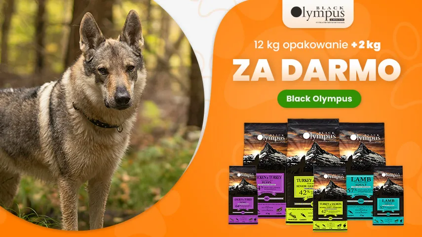 Black Olympus 12 + 2 kg GRATIS