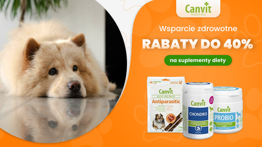 Canvit - zniżka do 40%