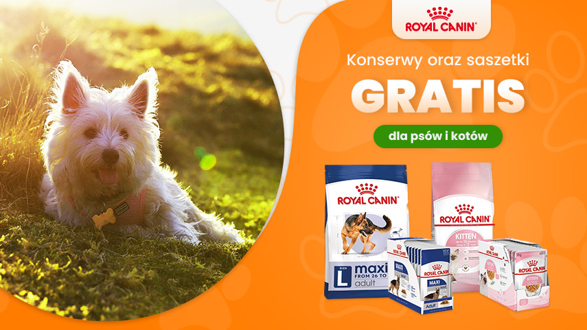 Royal Canin saszetki í konserwy gratis