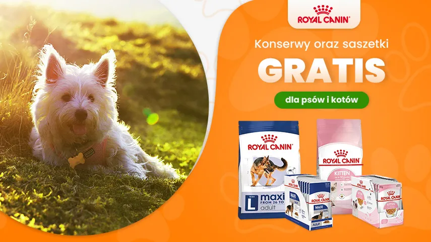 Royal Canin saszetki í konserwy gratis