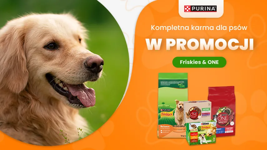 Friskies & ONE promocja
