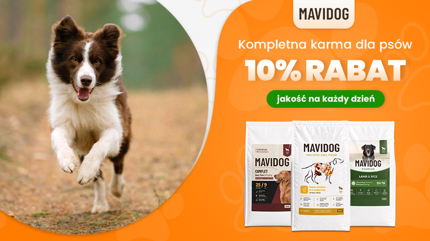 Mavidog promocja