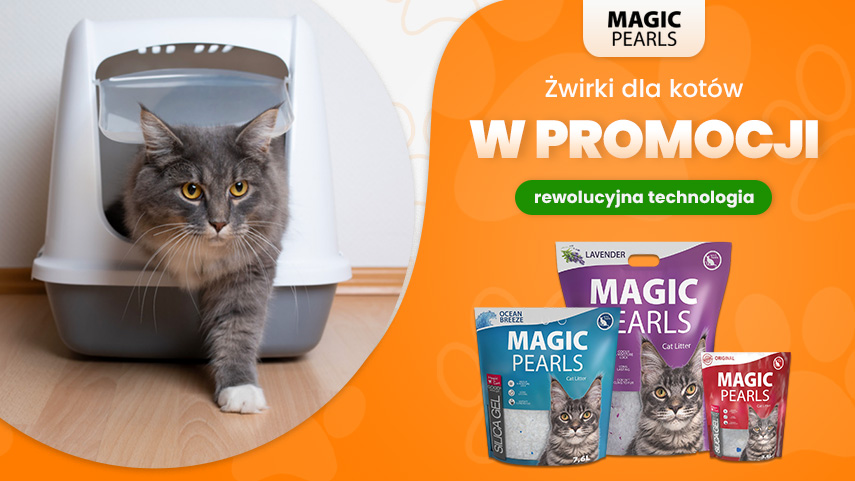 Magic Pearls promocja