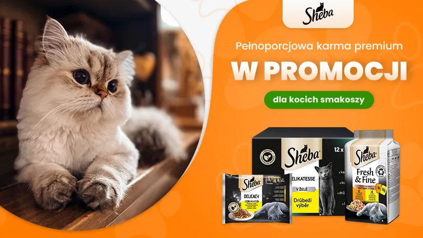 Sheba promocja
