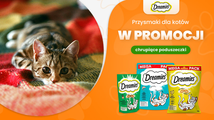 Dreamies w promocji