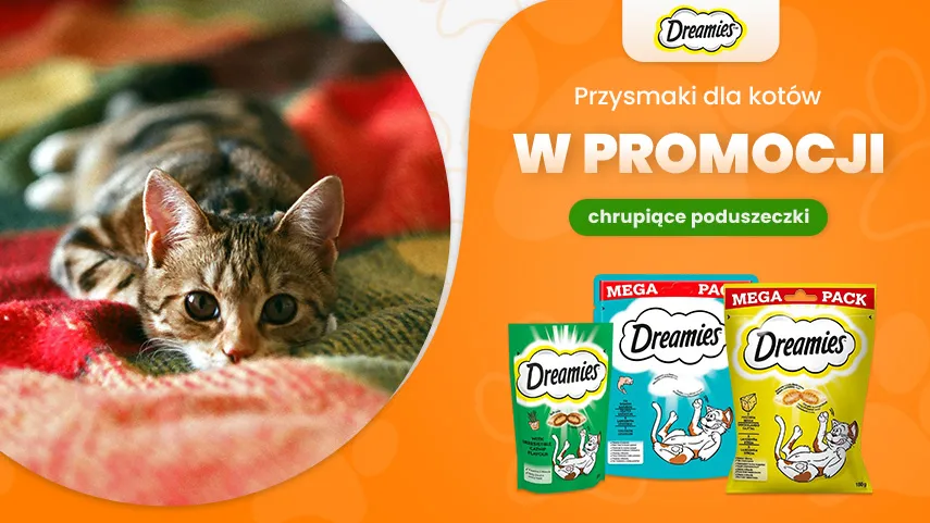 Dreamies w promocji