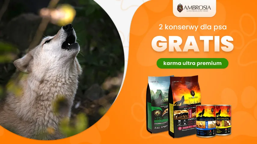 Ambrosia 2 konserwy gratis