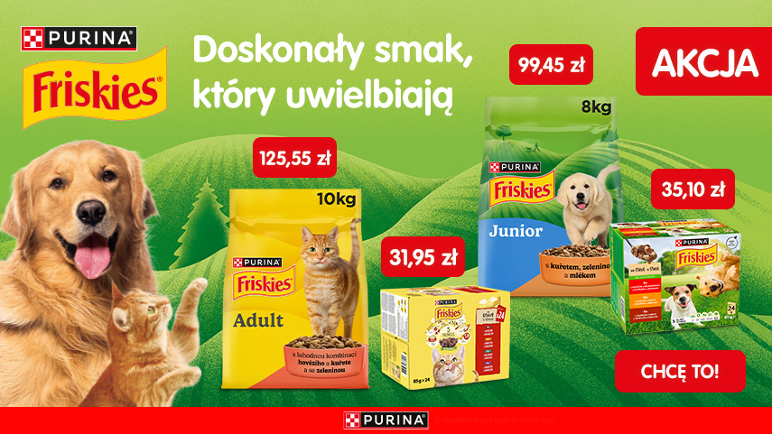 Friskies cena promocyjna