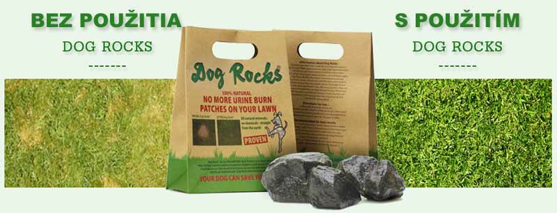 Vulkanikus gyepvédő kőzet - Dog Rocks